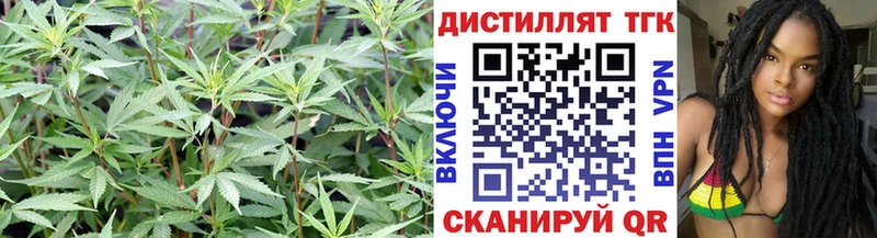 мориарти наркотические препараты цены Оха ТГК вейп с тгк