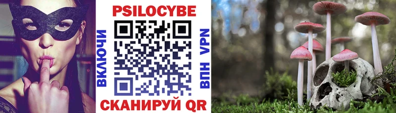 omg ТОР  как найти наркотики  Оха  Галлюциногенные грибы мицелий 